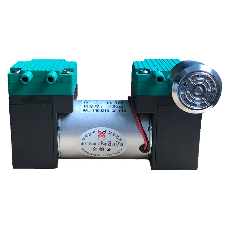 醫(yī)療美容雙吸小型真空泵